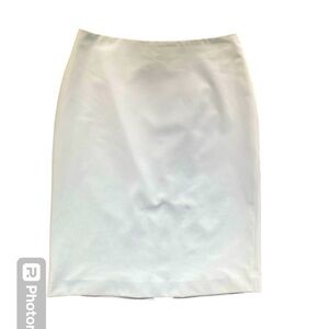 Devonshire Cream Blue Skirt Size 6